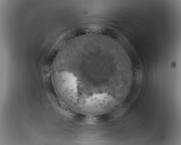 X0000116000701200911191424