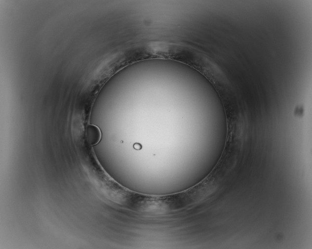 X0000116000702200911191424