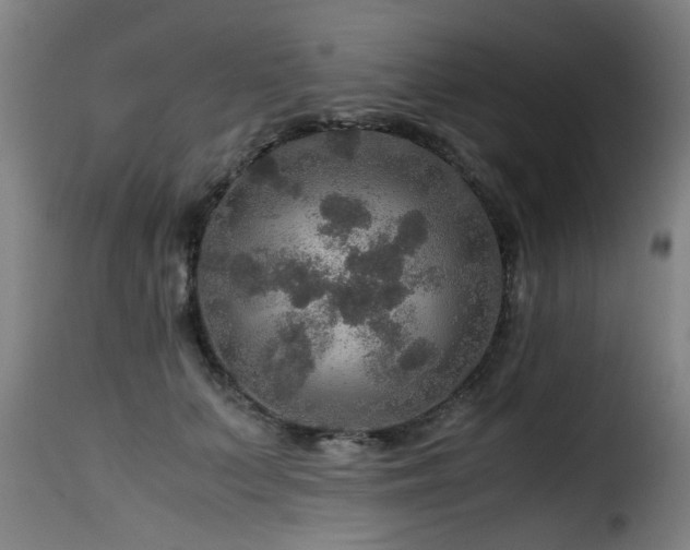 X0000116000703200911191424