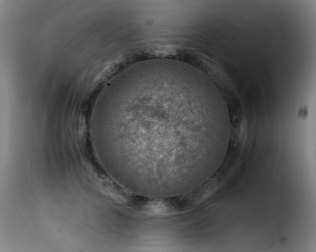 X0000116000704200911191424