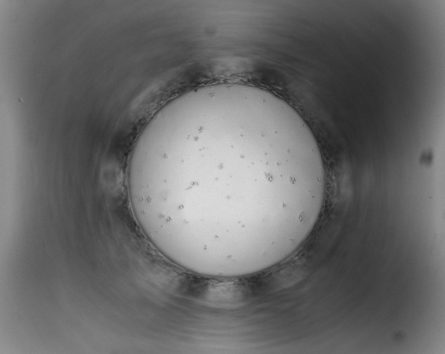 X0000116000705200911191424