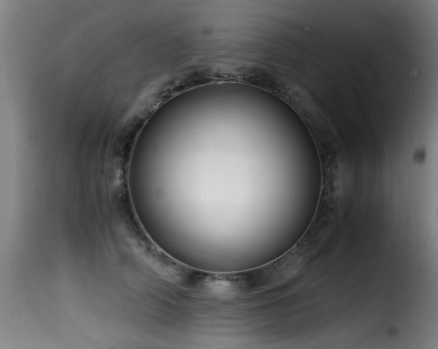 X0000116000706200911191424