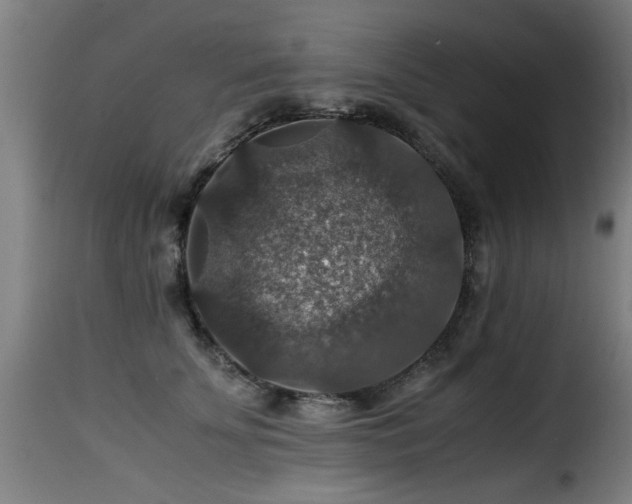 X0000116000707200911191424