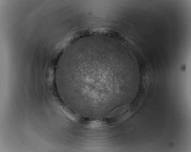 X0000116000708200911191424