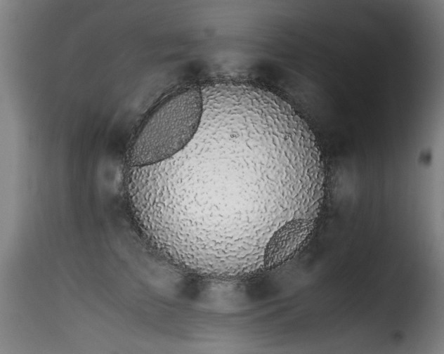 X0000116000709200911191424