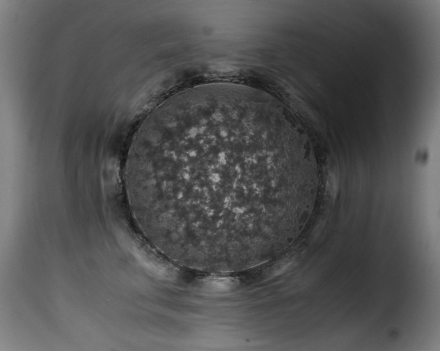 X0000116000711200911191424