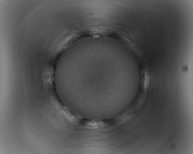 X0000116000712200911191424