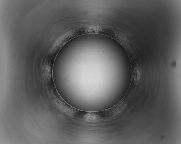 X0000116000714200911191424