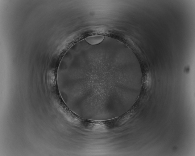 X0000116000715200911191424