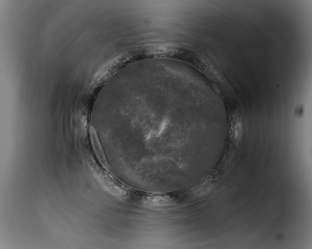 X0000116000716200911191424