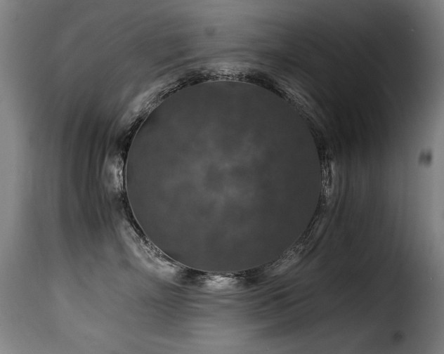 X0000116000718200911191424