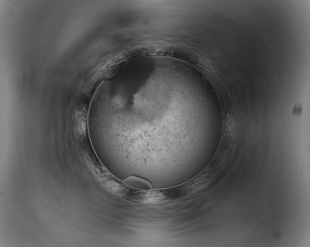 X0000116000719200911191424