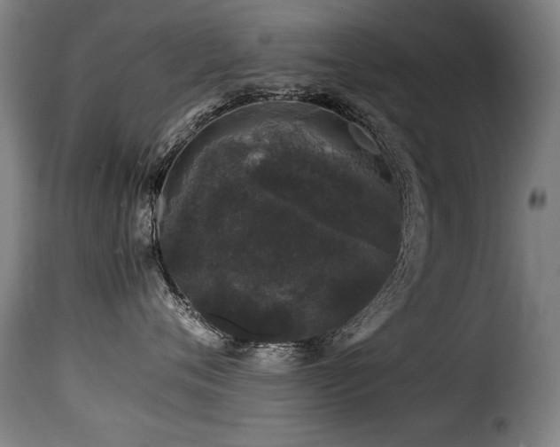 X0000116000720200911191424