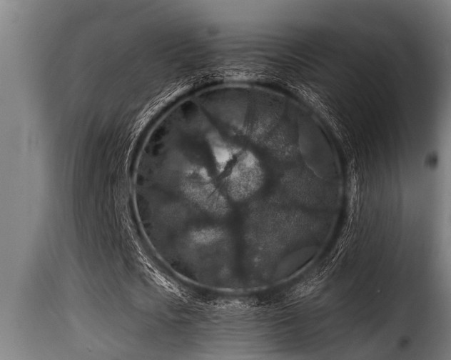 X0000116000721200911191423