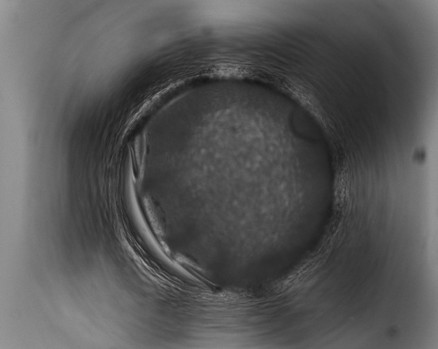 X0000116000722200911191423