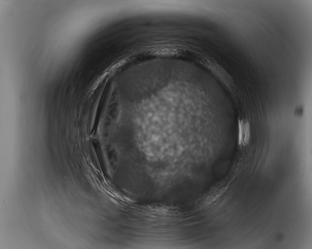 X0000116000723200911191423