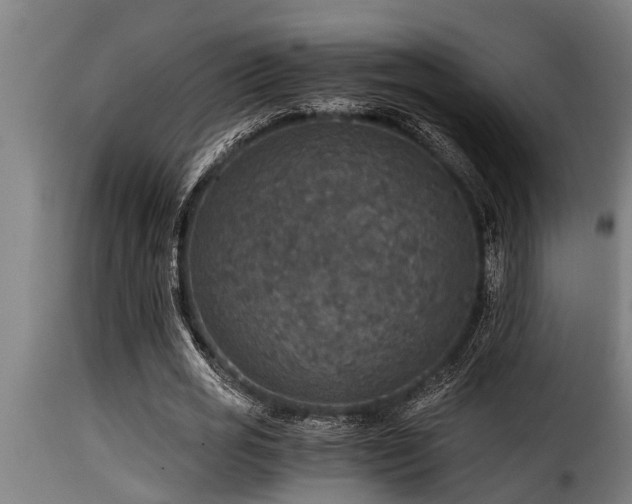 X0000116000725200911191423