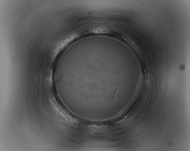 X0000116000727200911191423