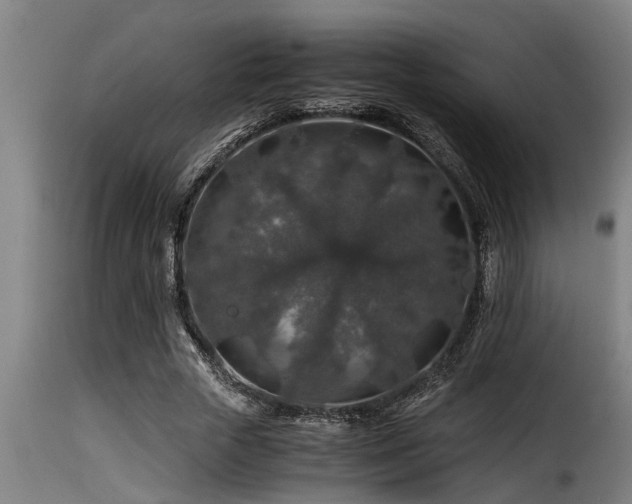 X0000116000729200911191423