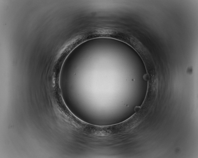 X0000116000731200911191423