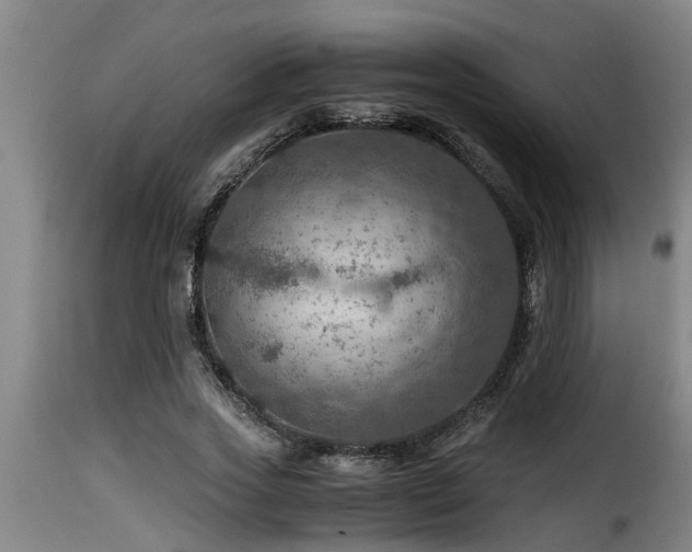 X0000116000733200911191423