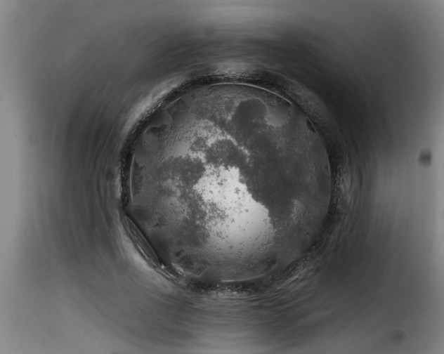 X0000116000734200911191423