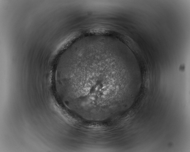 X0000116000735200911191423