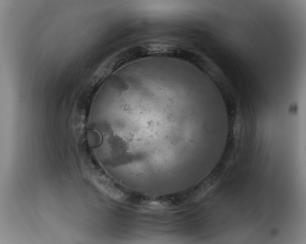 X0000116000737200911191423