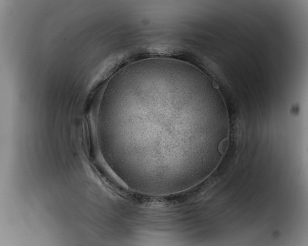 X0000116000738200911191423