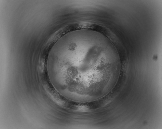 X0000116000741200911191423