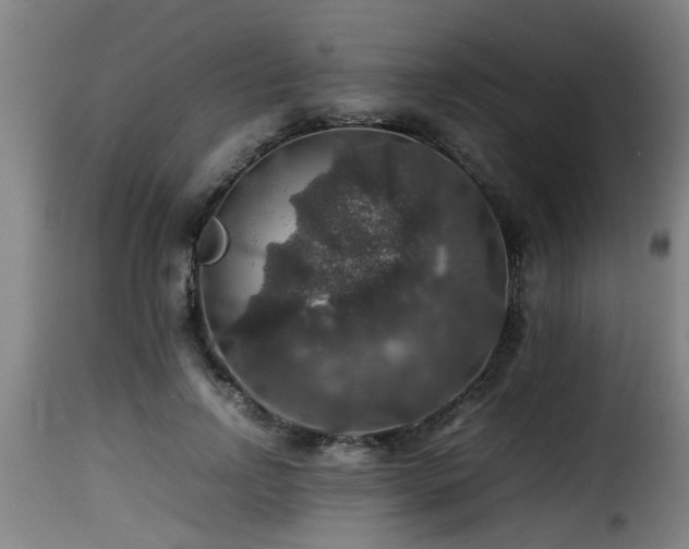 X0000116000742200911191423