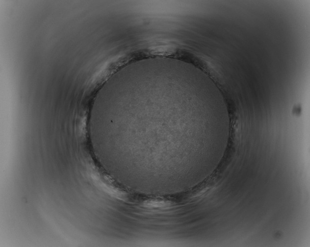 X0000116000745200911191424