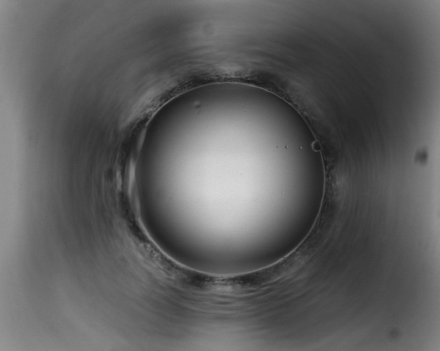 X0000116000746200911191424