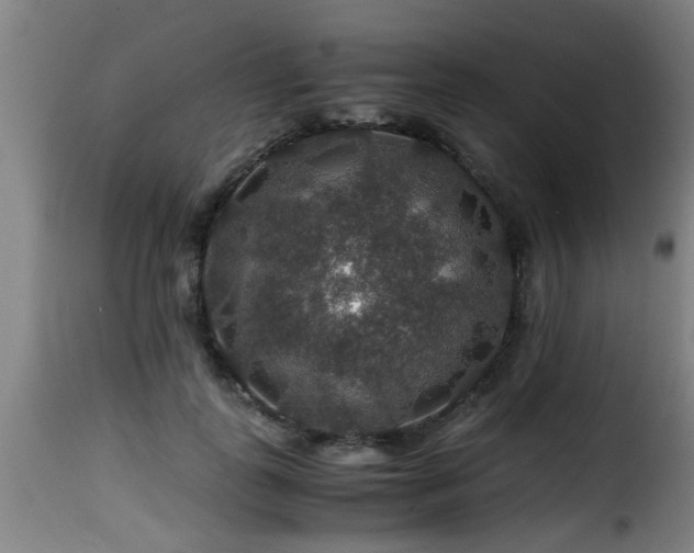 X0000116000747200911191424