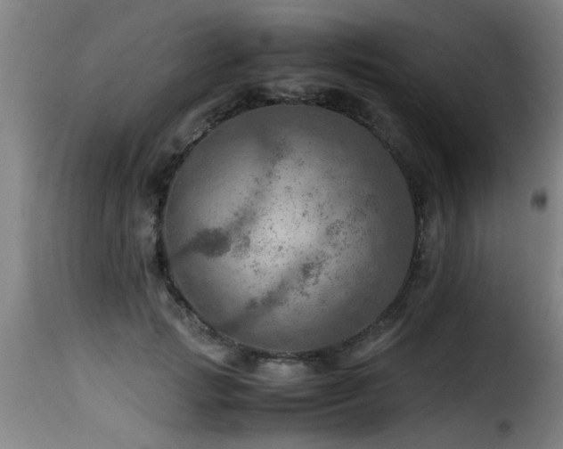 X0000116000749200911191424