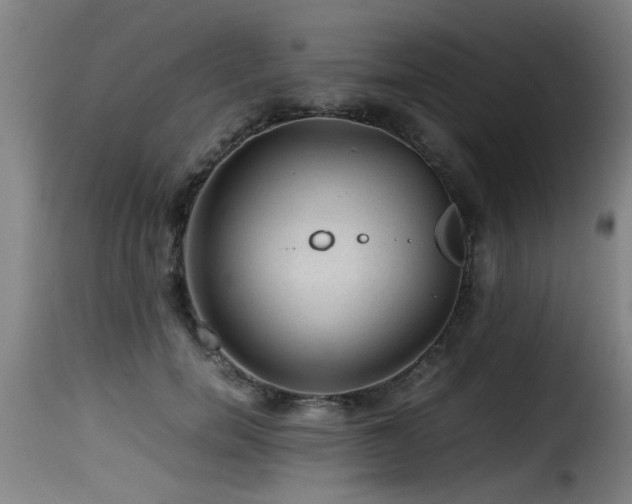 X0000116000750200911191424