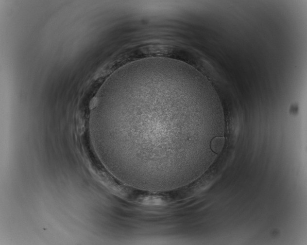 X0000116000751200911191424