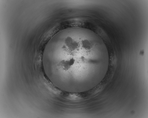 X0000116000753200911191424