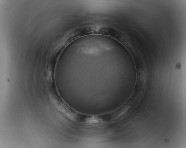 X0000116000754200911191424