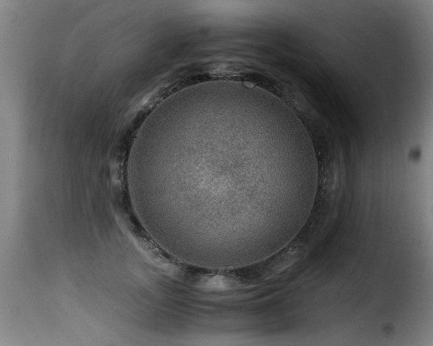 X0000116000755200911191424