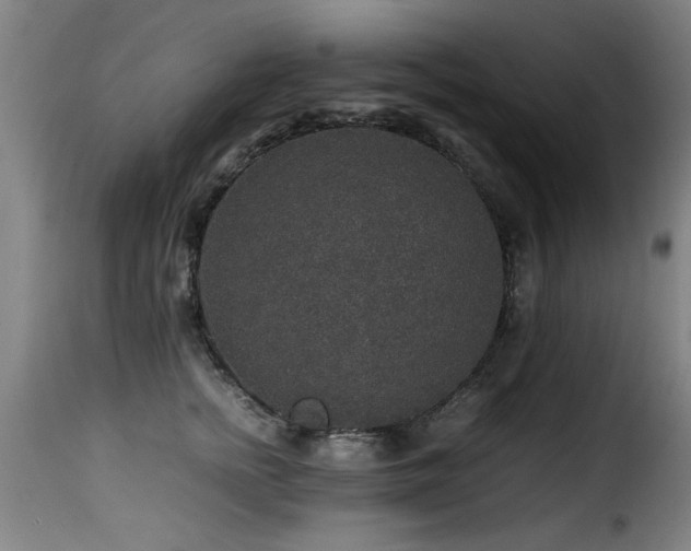 X0000116000758200911191424