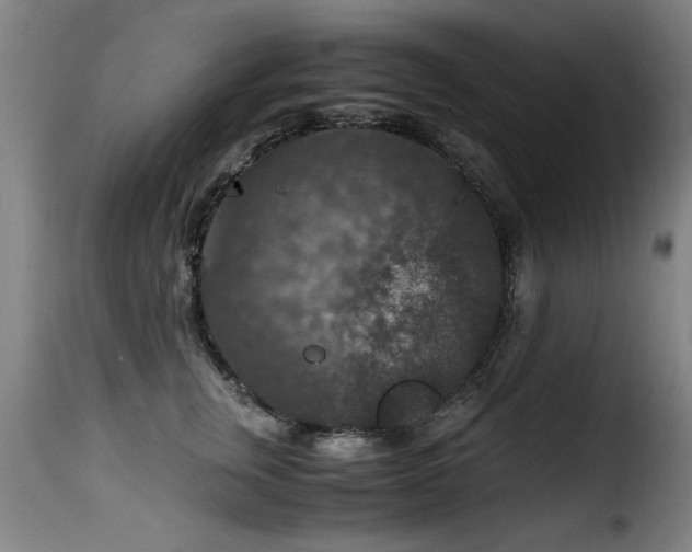 X0000116000759200911191424