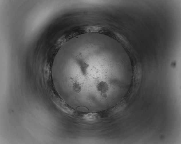 X0000116000761200911191424