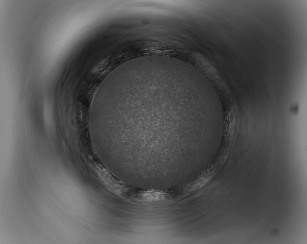 X0000116000762200911191424