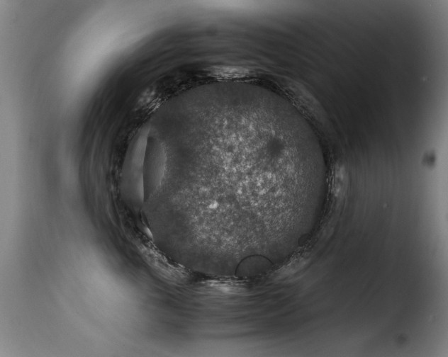 X0000116000763200911191424