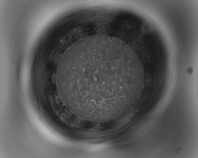 X0000116000765200911191424