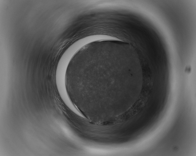 X0000116000766200911191424