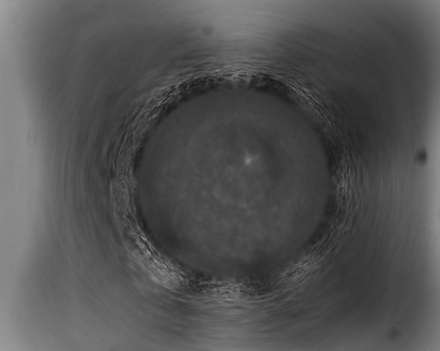 X0000116000769200911191423