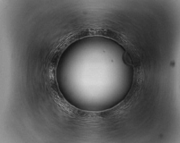 X0000116000770200911191423