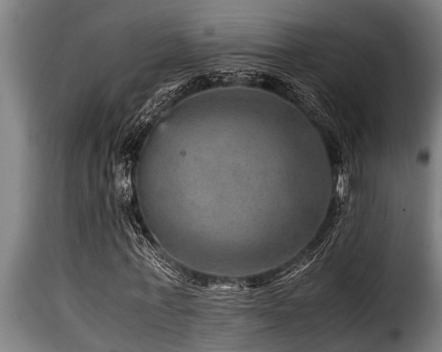 X0000116000771200911191423